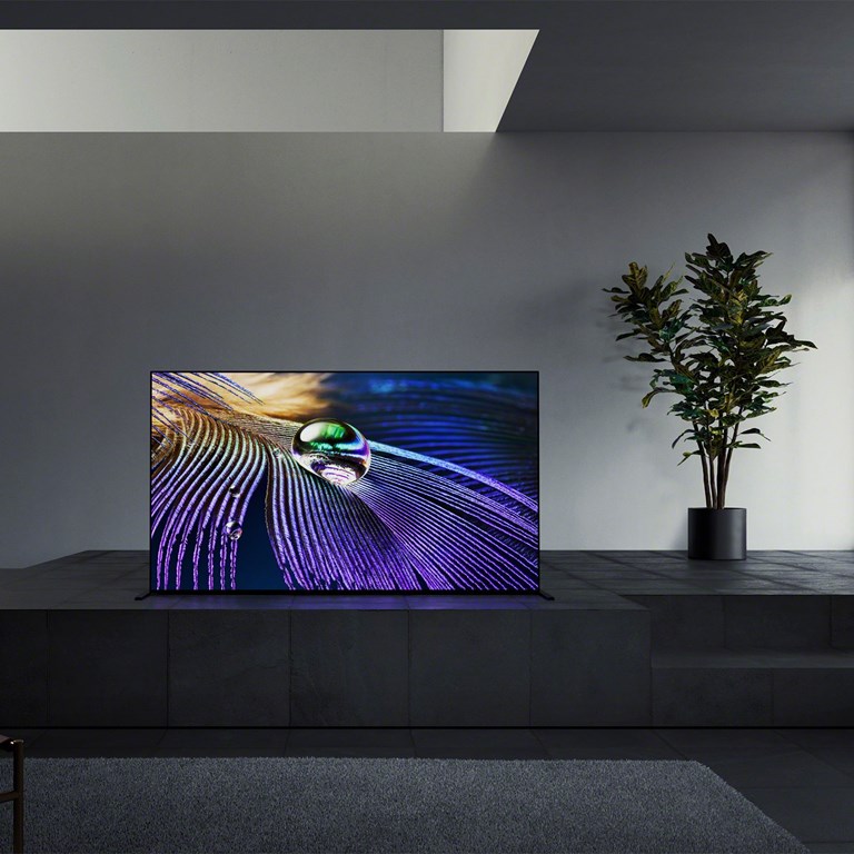 Sony XR-83A90J OLED-TV
