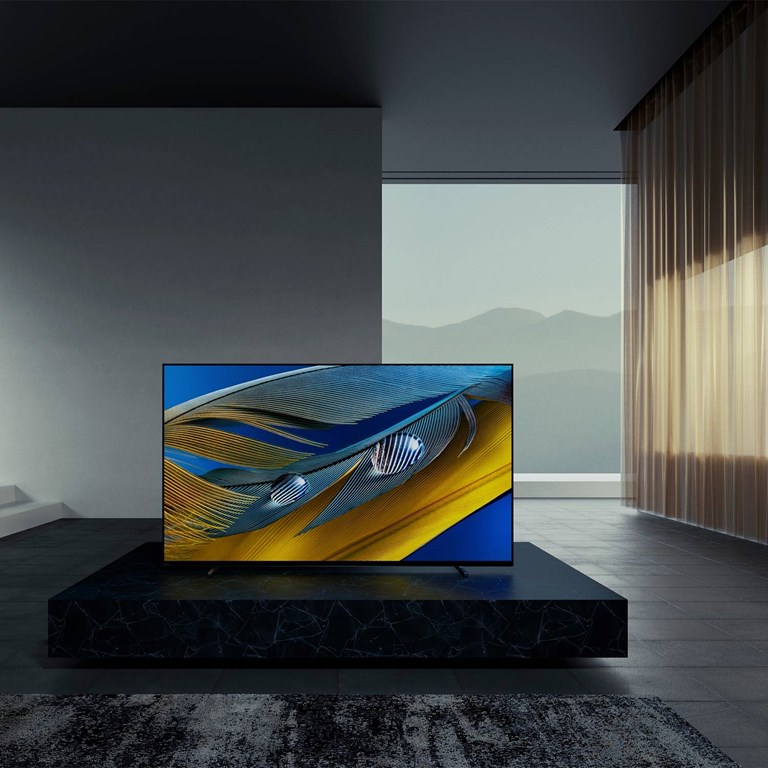 Sony XR-77A80J OLED-TV